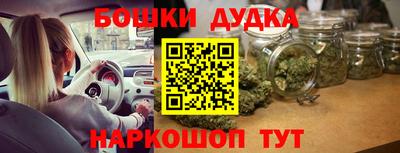 apvp Славгород