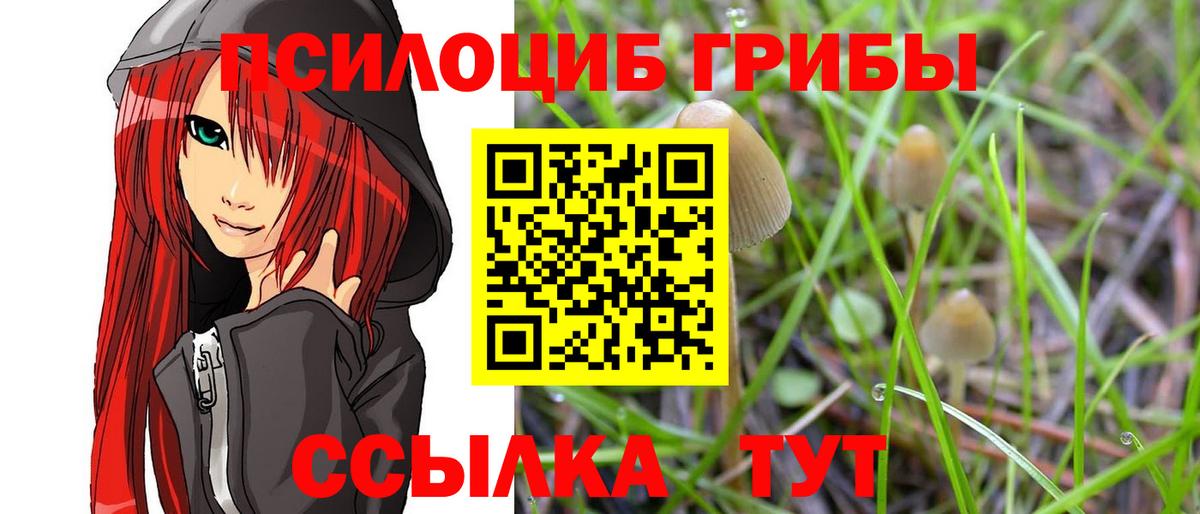 где купить наркоту  Вход с VPN  Обь  Галлюциногенные грибы Cubensis  Псилоцибиновые грибы Psilocybine cubensis 